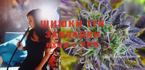 ECSTASY Гусев