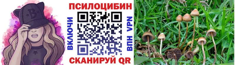 Купить  Волгоград  Псилоцибиновые грибы Magic Shrooms 